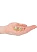 Morogaver - S-Line - Kink Dice Gold - bilde 3